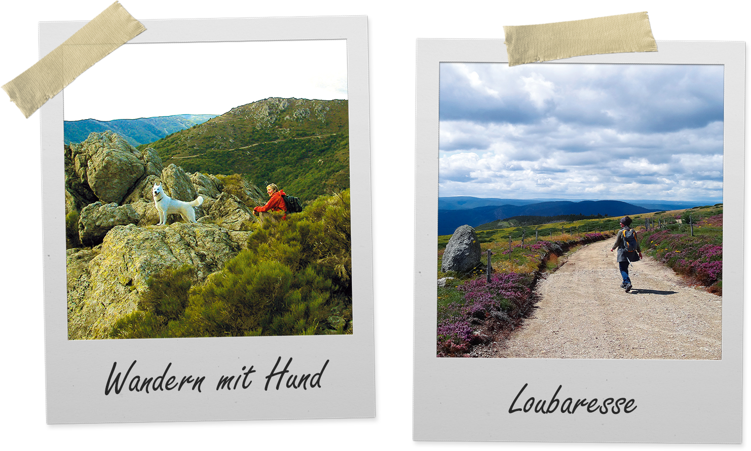 Standortwanderung in den Bergen der Ardèche