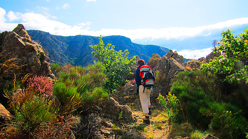 Hoch_auf_das_Tanargue_800_450 Individuelle Wanderungen durch die Berge der Ardèche